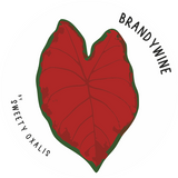 Brandywine-Aufkleber