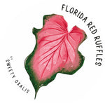 Sticker Florida red ruffles