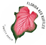 Sticker Florida red ruffles