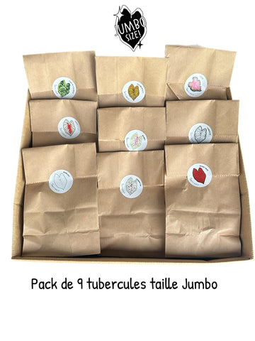Pack de 9 tubercules taille Jumbo