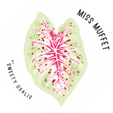 Sticker Miss Muffet