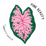 Sticker Pink Beauty