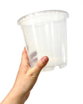 Transparent plastic pot