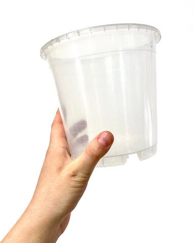 Pot Plastique transparent